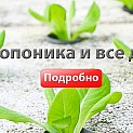 Гидропоника и все для нее