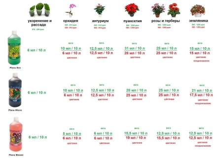Подробное описание для ОРХІДЕЙ , антуріум, пуансетія, троянди, гербери, СУНИЦЯ отзывы экспертов преимушества и недостатки Green Power