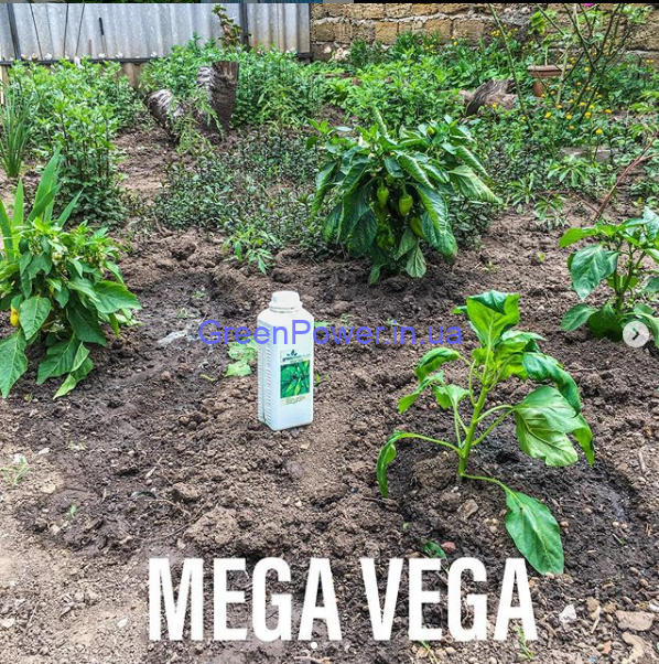 купить Мега Вега / Mega Vega стимулятор роста для веги