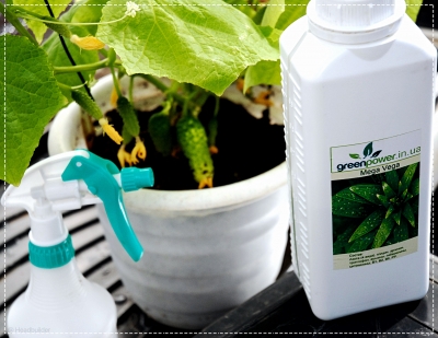 купить Мега Вега / Mega Vega стимулятор роста для веги