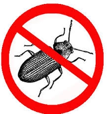 від шкідніків і парозітов рослин