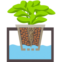 Экстракторы